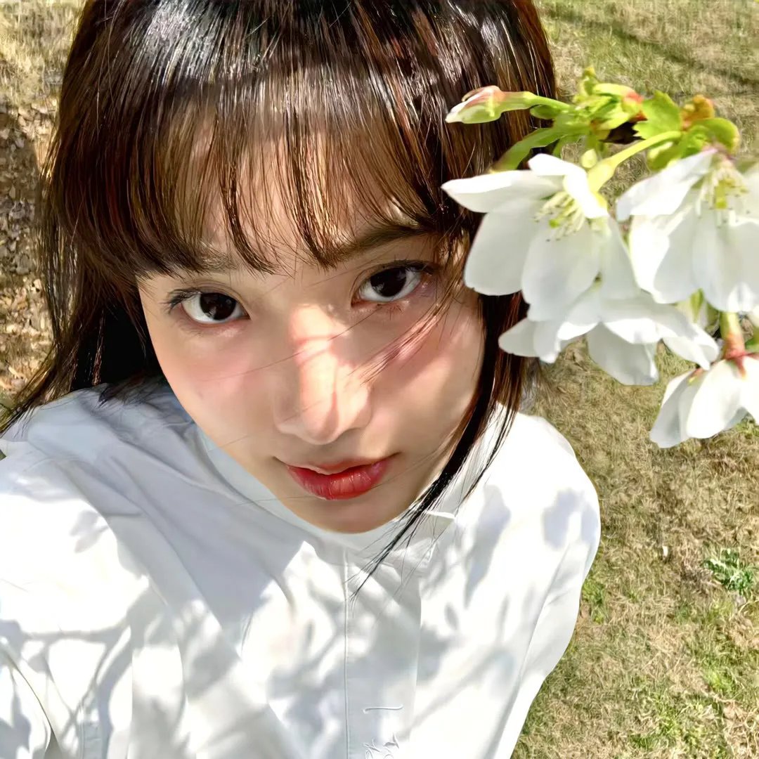 机器肉鸡第四季 在线观看